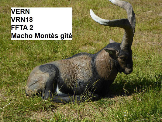 Macho Montes Gité