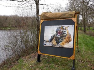 ✔️ 🏹 Nature Vern-sur-Seiche (35) @ Club des Archers de Vaugon | Vern-sur-Seiche | Bretagne | France